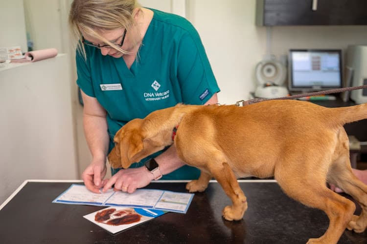 Business listing image