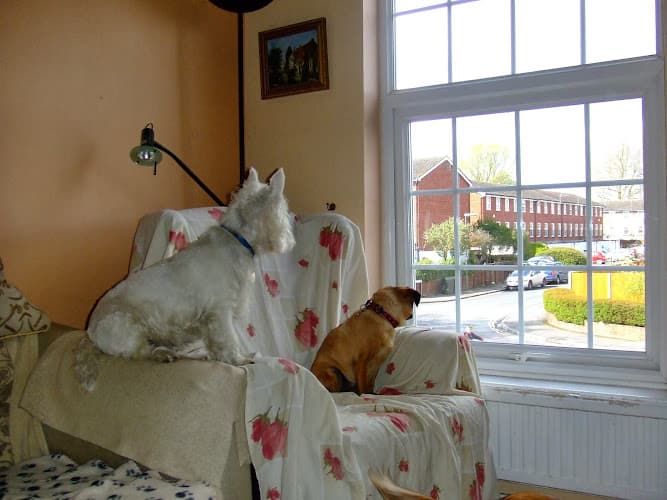 Business listing image