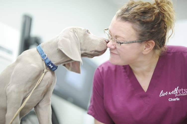 Business listing image