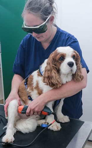 Business listing image