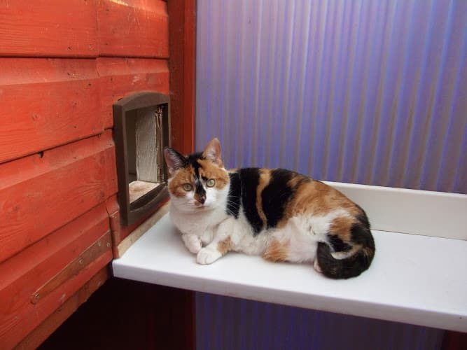 Business listing image