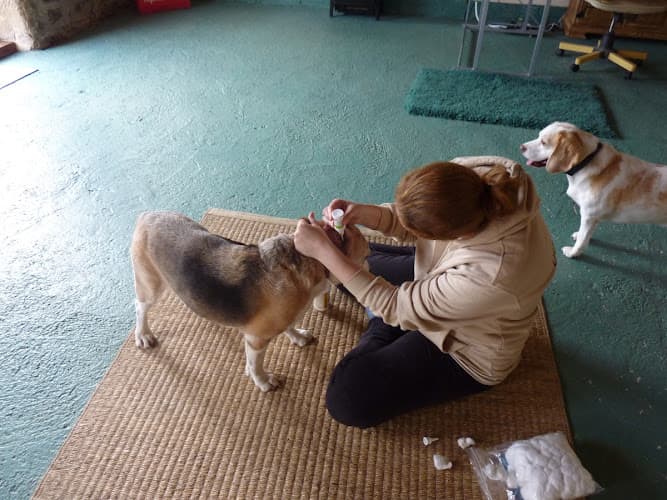 Business listing image