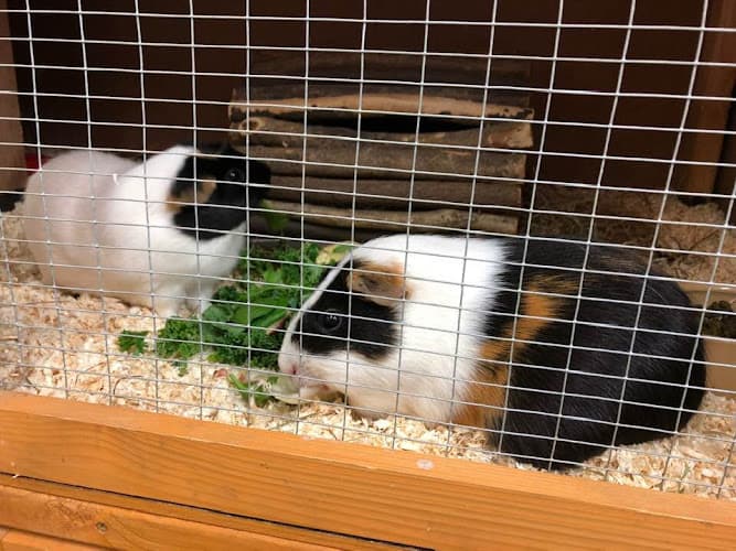 Business listing image