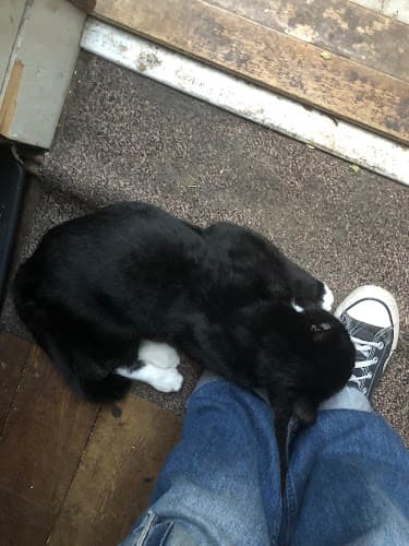 Business listing image