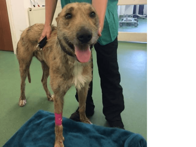 Business listing image