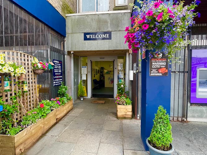 Business listing image