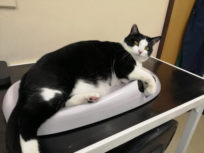 Business listing image