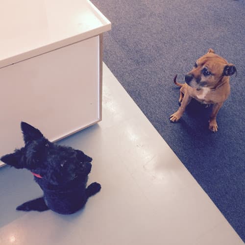 Business listing image