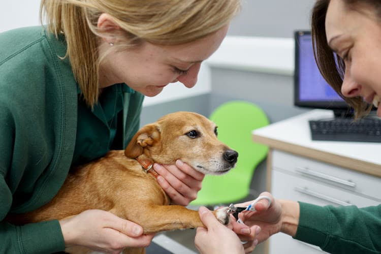 Business listing image