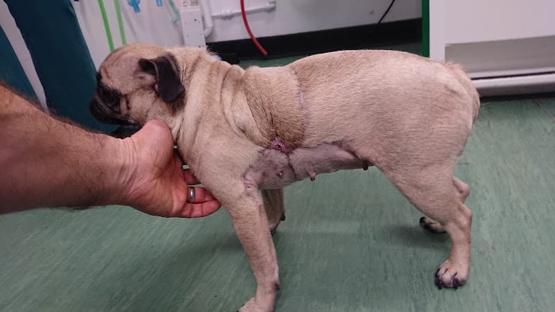 Business listing image