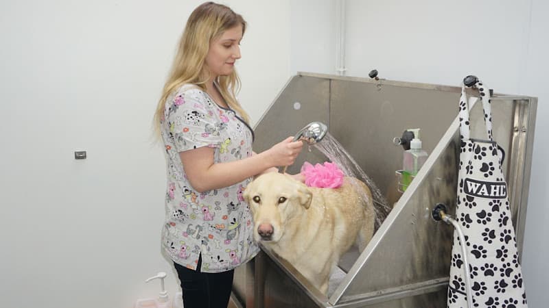 Business listing image