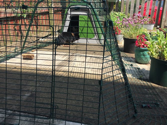 Business listing image