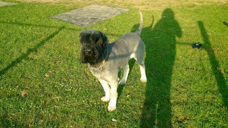 Business listing image