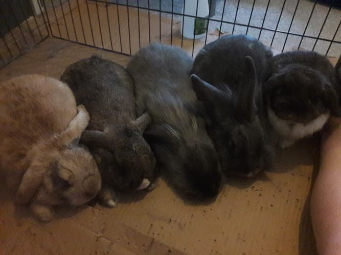 Business listing image