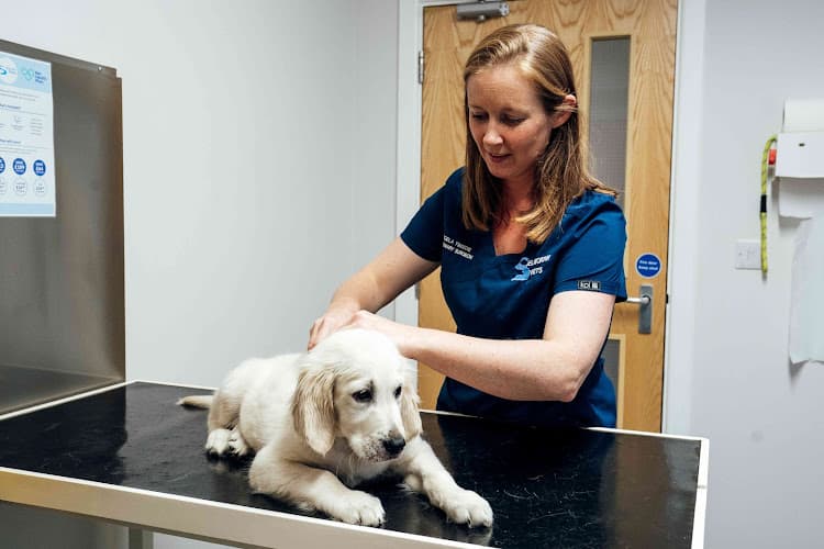 Business listing image