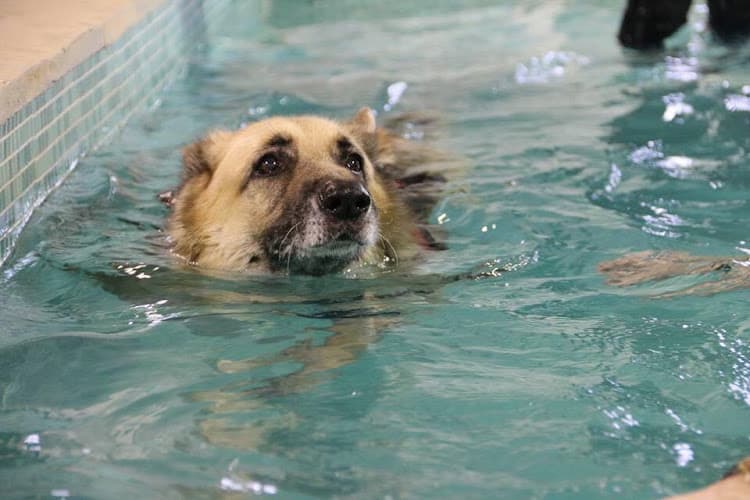 Business listing image