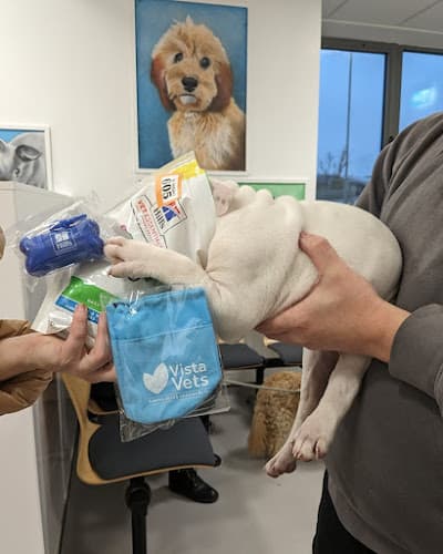 Business listing image