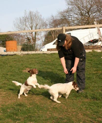 Business listing image