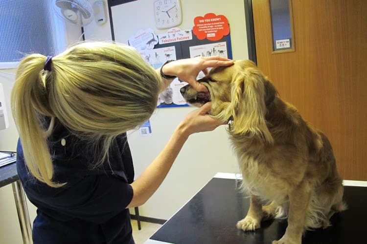 Business listing image