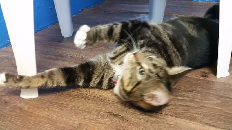 Business listing image