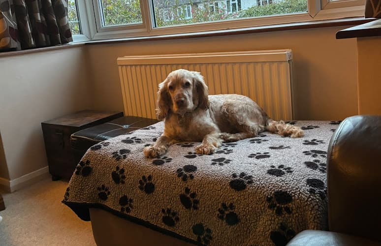 Business listing image