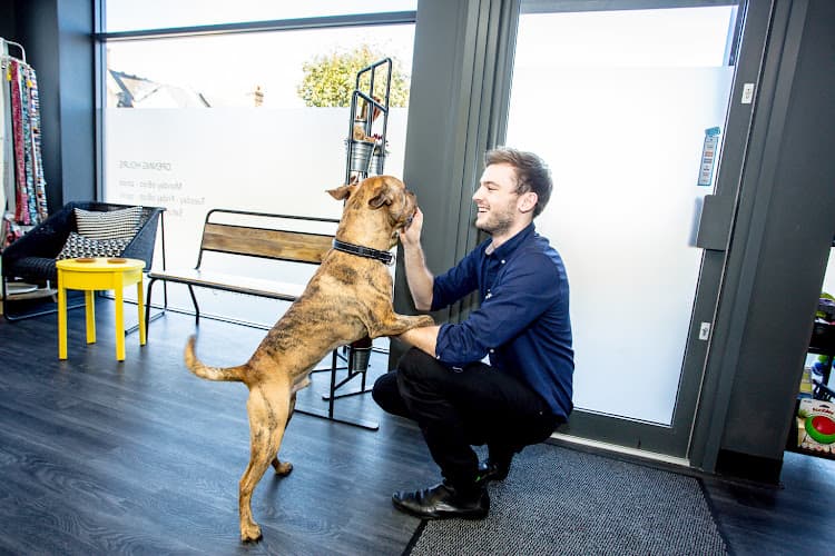 Business listing image