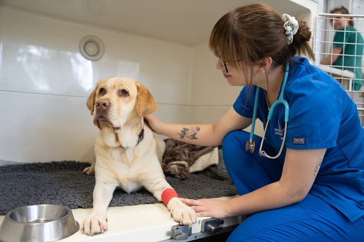 Business listing image