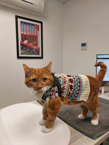 Business listing image