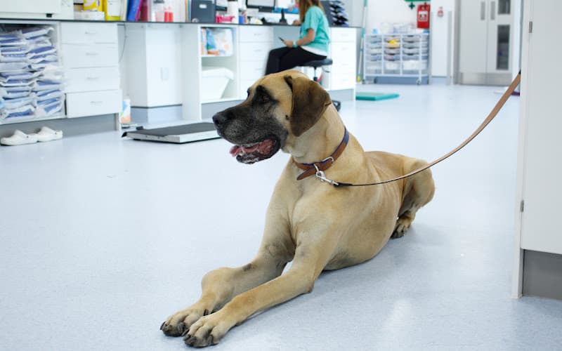 Business listing image