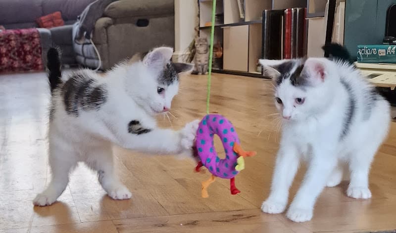 Business listing image