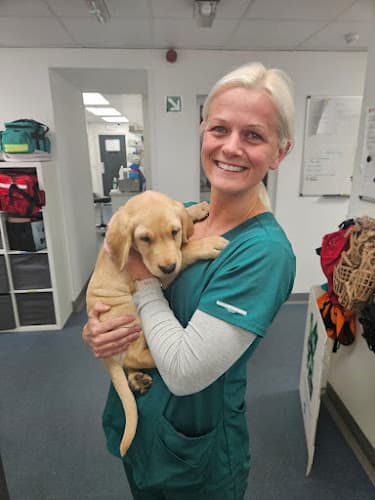 Business listing image