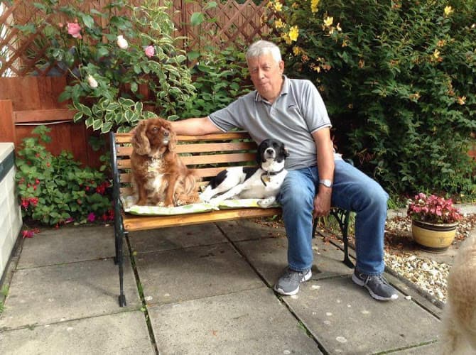 Business listing image