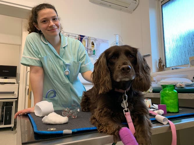 Business listing image