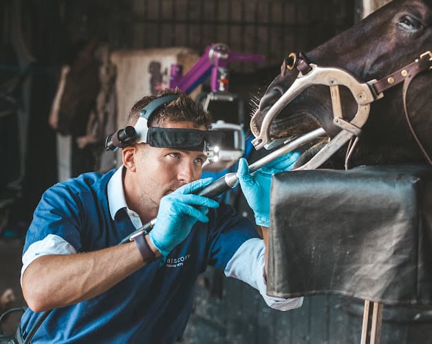 Business listing image