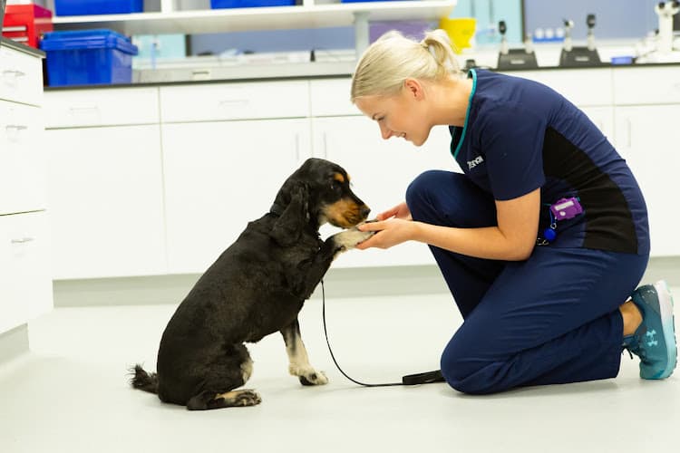 Business listing image