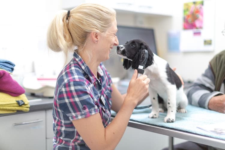 Business listing image