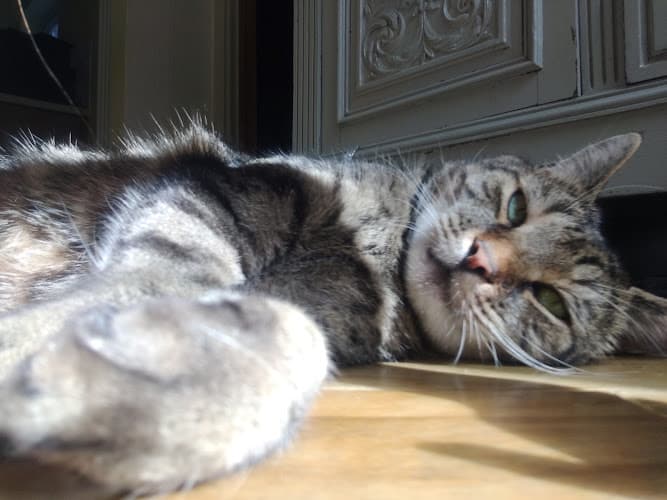 Business listing image