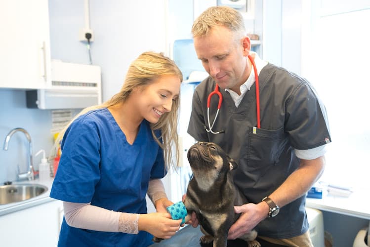 Business listing image