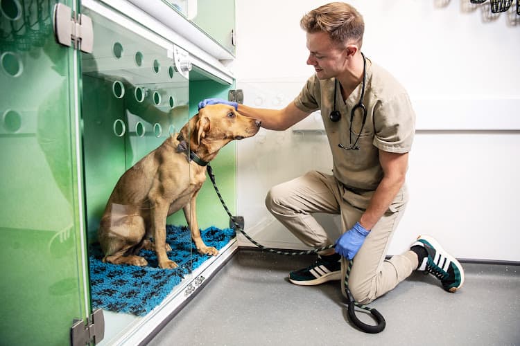 Business listing image