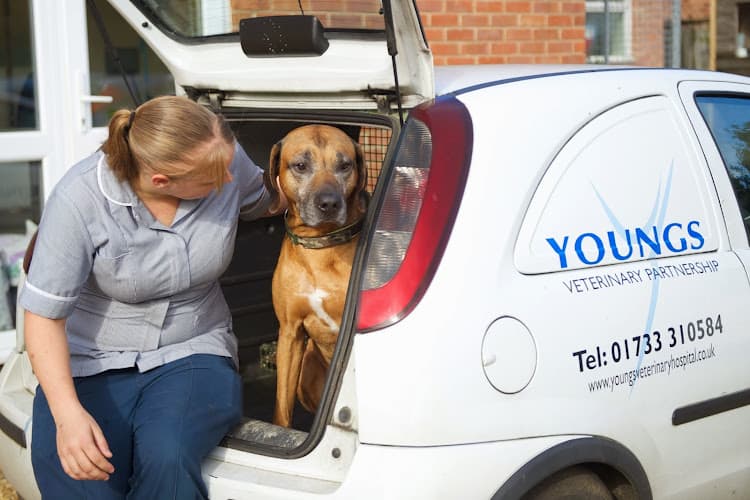 Business listing image