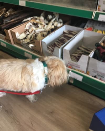 Business listing image