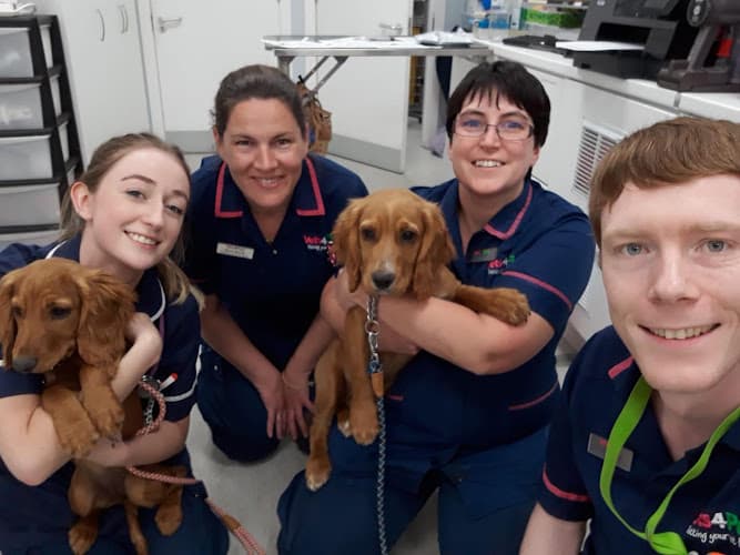 Business listing image