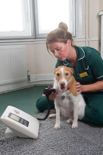 Business listing image