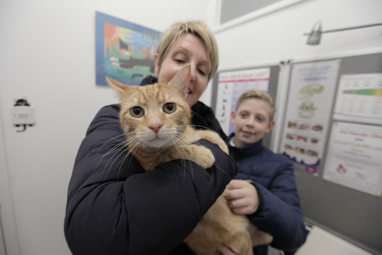 Business listing image