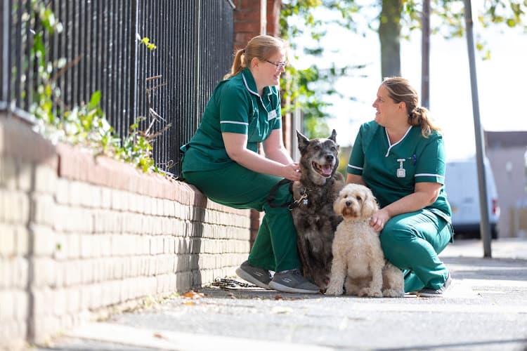 Business listing image