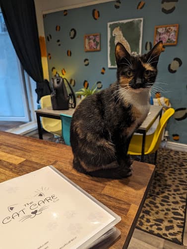 Business listing image