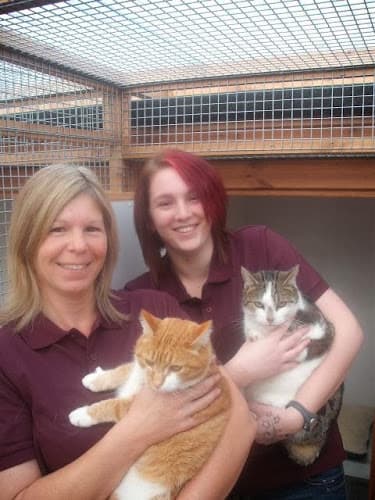 Business listing image