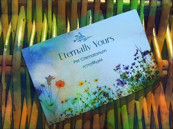 Business listing image