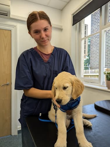 Business listing image