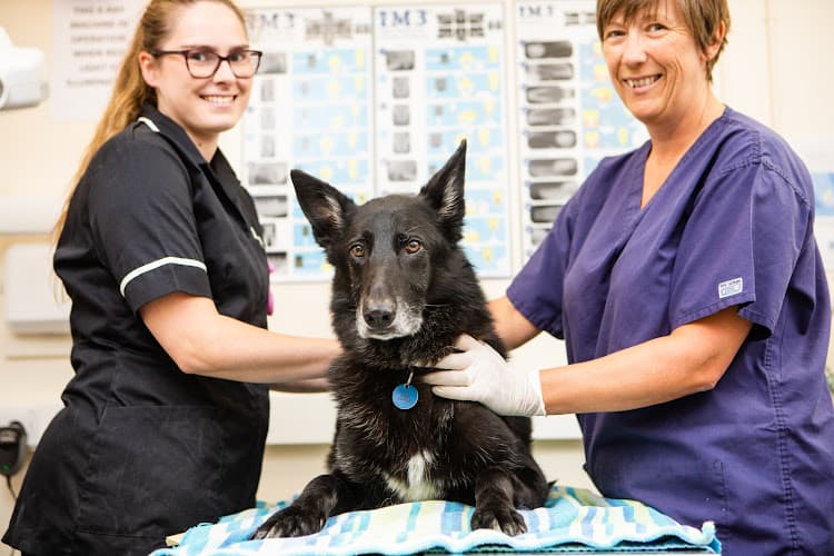 Business listing image